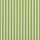 Bastelkarton Happy Papers Streifen, A4, 200g, hellgrün